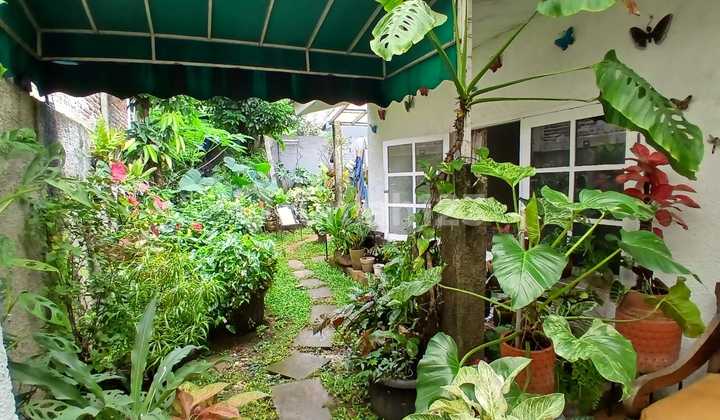 Rumah Asri di Cirendeu Jual Cepat, Murah, Nego Sampai Jadi Rumah Asri di Cirendeu Jual Cepat, Murah, Nego Sampai Jadi