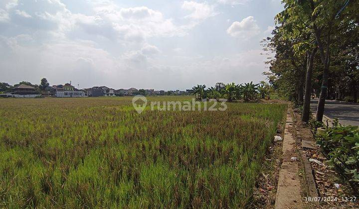 Jual Cepat Tanah Di Jln Gedebage Bandung 1