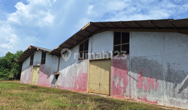 Jual Dibawah Njop Gudang Jln Asrama Damatex Cikokol Tangerang Di Jln Asrama Damatex Cikokol Tangerang, Cikokol Jual Dibawah Njop Gudang Jln Asrama Damatex Cikokol Tangerang Di Jln Asrama Damatex Cikokol Tangerang, Cikokol