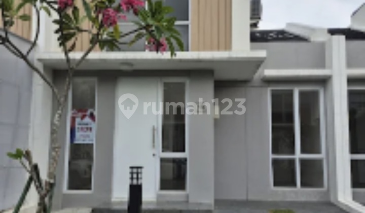 Paramont Petals Rental