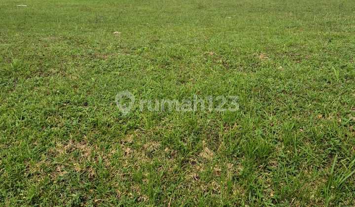 Lot Cluster Citra Suvarna Sutera