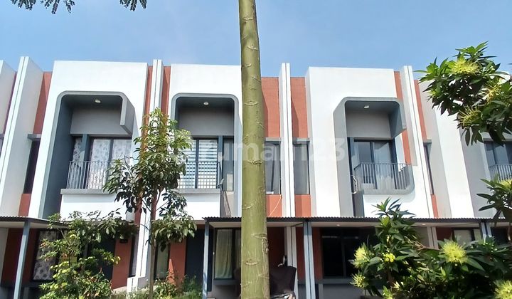 Cluster Freja Chick Cluster Freja Chick