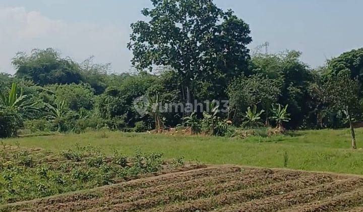 Dijual Tanah Strategis Di Karawang Timur 1