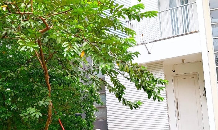 Jual Cepat Rumah Bagus Harga Bu Citra Grand Cibubur