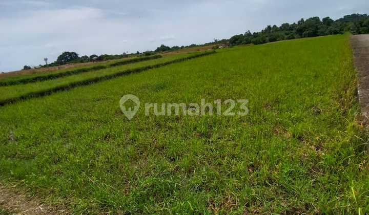 Land for Sale with Beach and Rice Field Views Location