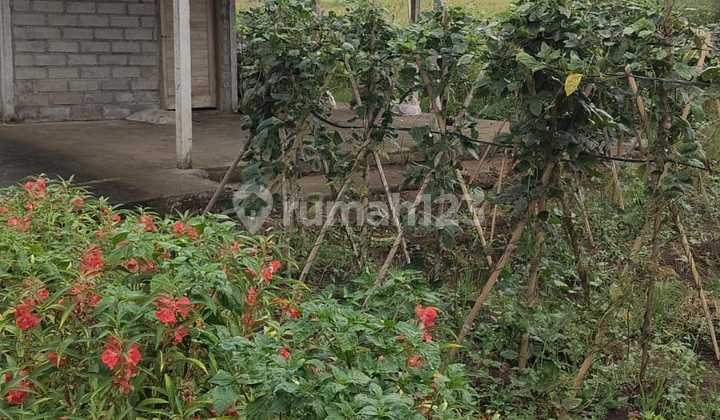 Land for Sale Near the Beach