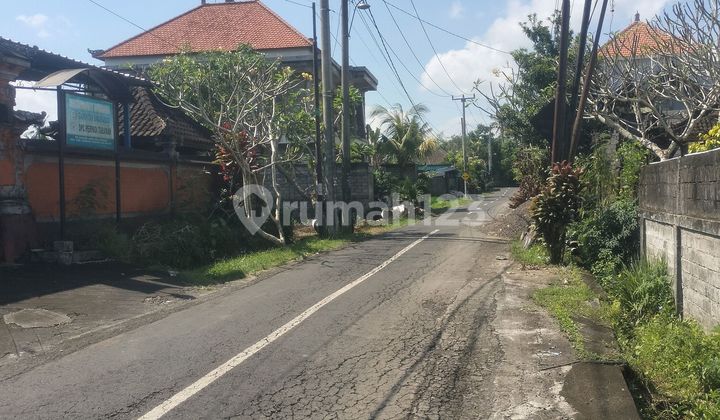 Warehouse for Sale in Tabanan Area