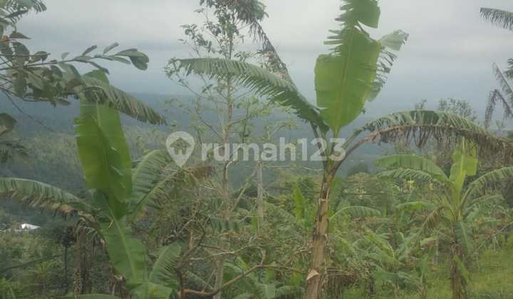 Land With Lake View Land With Lake View