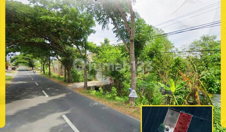 Commercial Land for Rent, Wide Area in Tasikmadu Region, Karanganyar!