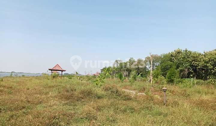 Potential Land in Sambi Boyolali - The Best Investment! Potential Land in Sambi Boyolali - The Best Investment!