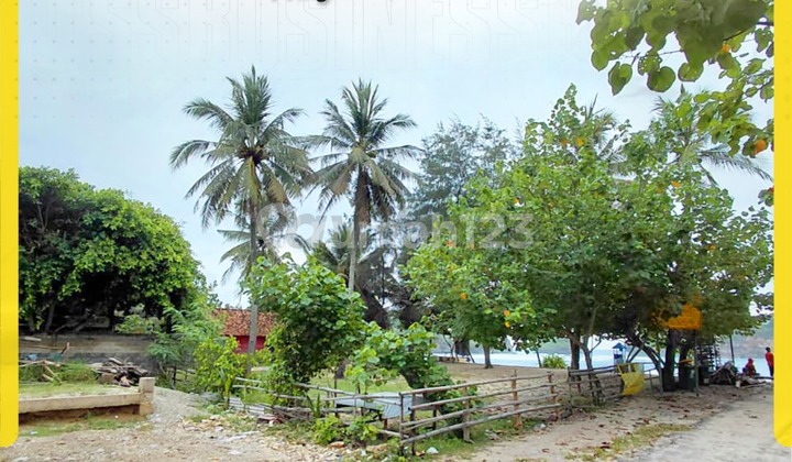 For Sale or Rent Exclusive Beach Land! Ideal for Resort in Pringkuku Pacitan