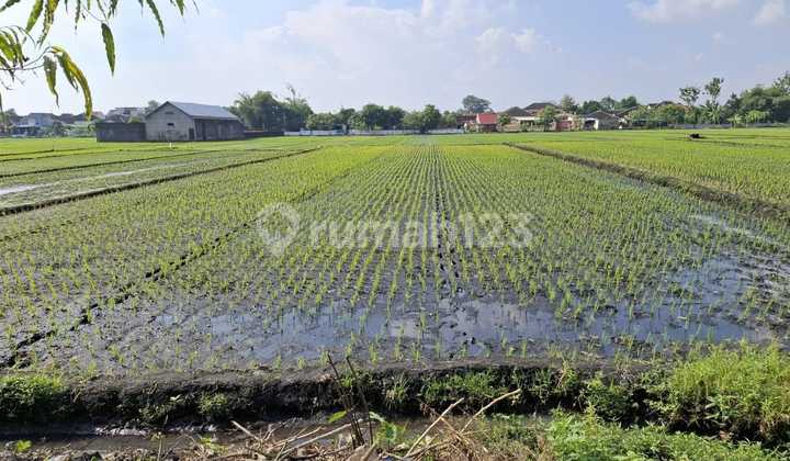 Dijual Tanah Kawasan Industri Tasikmadu Karanganyar Akses Kontainer 1