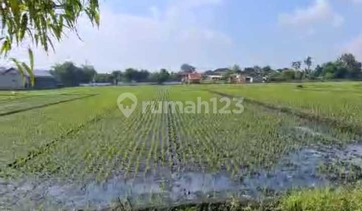 Dijual Tanah Kawasan Industri Tasikmadu Karanganyar Akses Kontainer 2