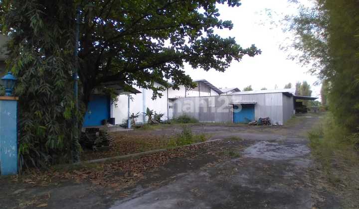 Warehouse Area on Mojosongo Ringroad Solo For Sale, Includes Office and Mess. Warehouse Area on Mojosongo Ringroad Solo For Sale, Includes Office and Mess.