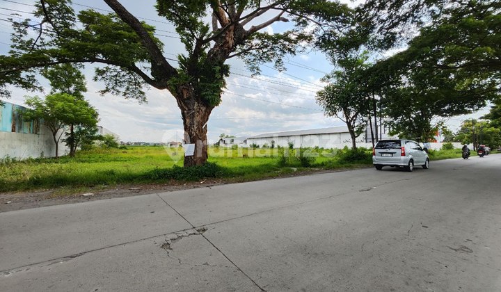 Jual Tanah Kavling Klodran Solo Cocok Untuk Usaha Jual Tanah Kavling Klodran Solo Cocok Untuk Usaha