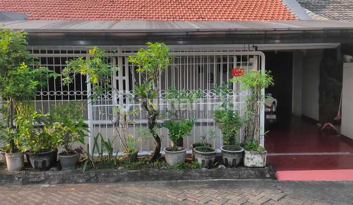 Taman Darmo Permai Selatan Taman Darmo Permai Selatan