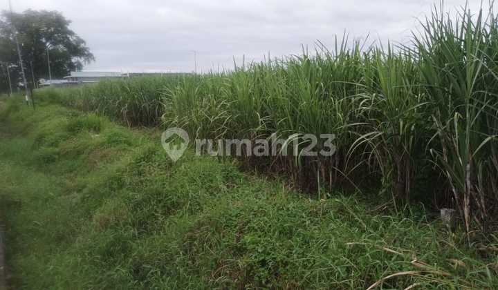 Kavling Industri Pinggir Jalan Utama, Jalur 2 Mobil 2