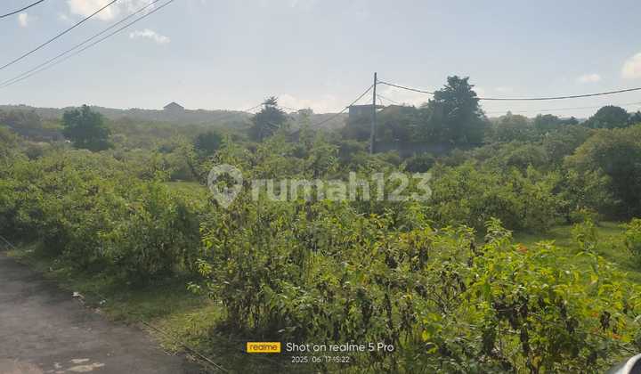 Tanah Jual Lokasi Ungasan