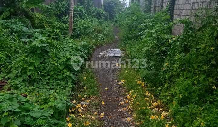 Land for Sale in Siyut Location