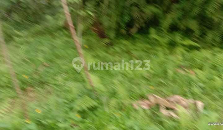 Tanah Jual Lokasi Tegallalang