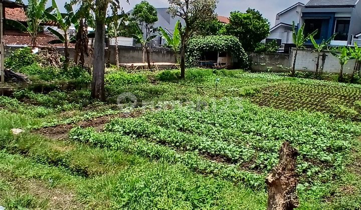 Jual Tanah Luas Di Sariwangi Bandung Barat