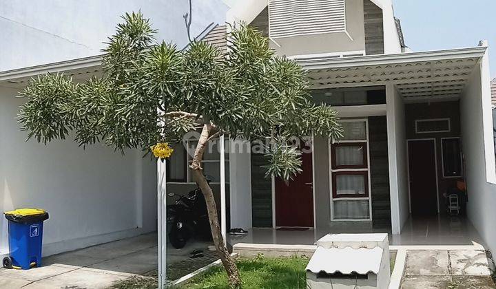 Rumah 1 Lantai Luas Tanah Terbesar Di Zian Istana Type 46/98 Bisa Kpr Rumah Bagus SHM di Mojosari 1