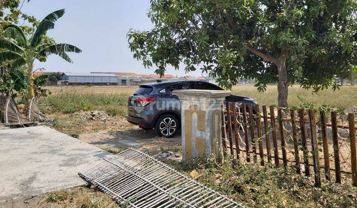 Tanah SDH diurug DAN SIAP BANGUN di jalan RAJAWALI, SRAGEN 2