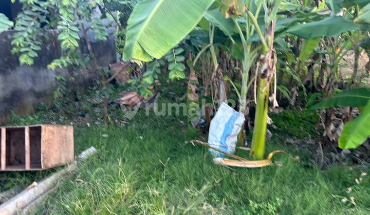 Tanah 1 Are Shm Di Batubulan Gianyar Gp