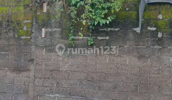 Tanah 200.0 M² Shm Di Cekomaria Denpasar Gp Tanah 200.0 M² Shm Di Cekomaria Denpasar Gp