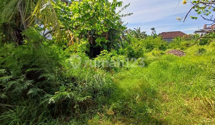 Dijual Tanah 395.0 M² Shm Hadap Barat Di Panjer Cn/gp Dijual Tanah 395.0 M² Shm Hadap Barat Di Panjer Cn/gp