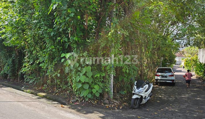 Land 250.0 M² Certificate of Ownership (SHM) in Pererenan, Hook Position Gp