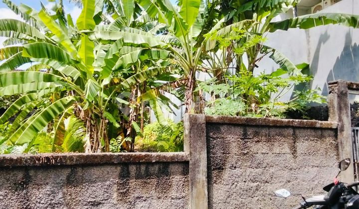 Tanah 1.5 Are Shm Hadap Utara Di Denpasar Utara Gp Tanah 1.5 Are Shm Hadap Utara Di Denpasar Utara Gp