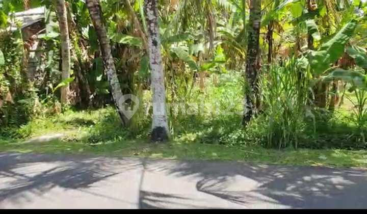 Tanah 1300.0 M² Shm Di Mengwi Rc