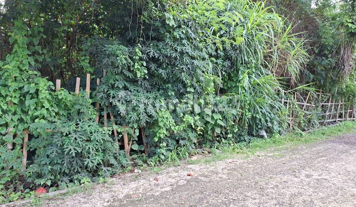 Land Area 200.0 M² SHM Near Berawa Beach Ev Land Area 200.0 M² SHM Near Berawa Beach Ev