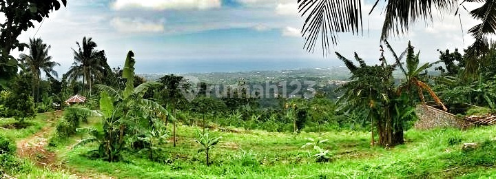 Tanah 98 Are Shm View Laut Di Lovina It