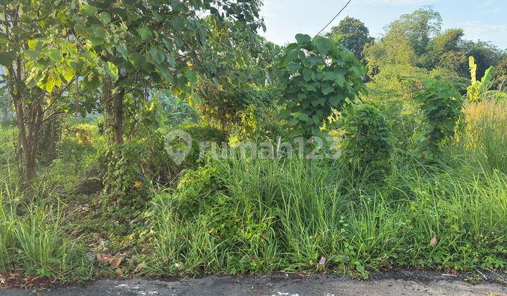 Tanah 1 Are Shm Posisi Hook Di Penatih Denpasar Gp