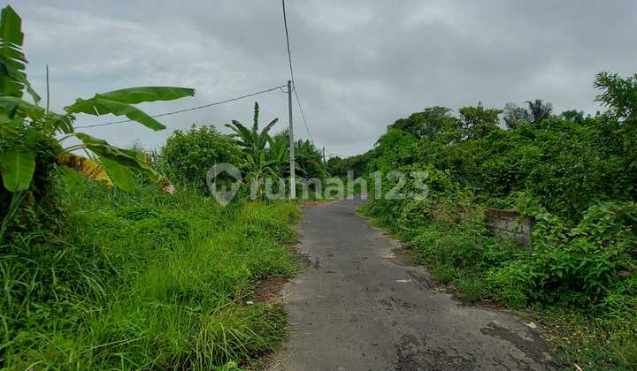 For Sale 5 Ares SHM Land in Gianyar RC
