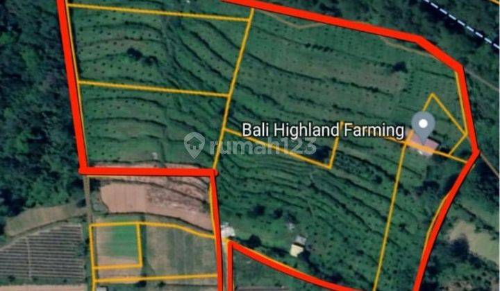 Dijual Tanah 226 Are View Bukit Dekat Bedugul Cn