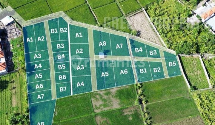 Tanah Kavling Eksklusif Luas Mulai 1.4 Are Di Renon Gp Tanah Kavling Eksklusif Luas Mulai 1.4 Are Di Renon Gp