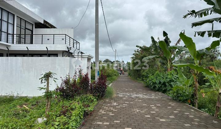 Tanah 250.0 M² Shm Di Ubud Gp