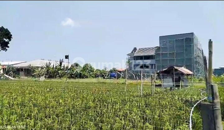 Tanah 290.0 M² Shm Di Denpasar Barat Gp