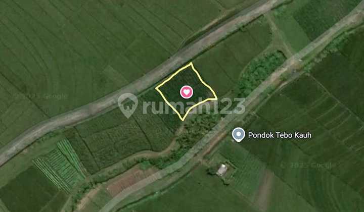 Dijual Tanah 5 Are View Sawah Dan Gunung Batukaru Vr