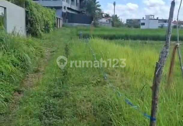 Tanah 400.0 M² Shm Itr Kuning Di Umalas Gp Tanah 400.0 M² Shm Itr Kuning Di Umalas Gp