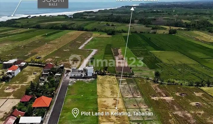 Dijual Tanah 1973.0 M² Shm Dekat Pantai Kelating Tabanan Vr