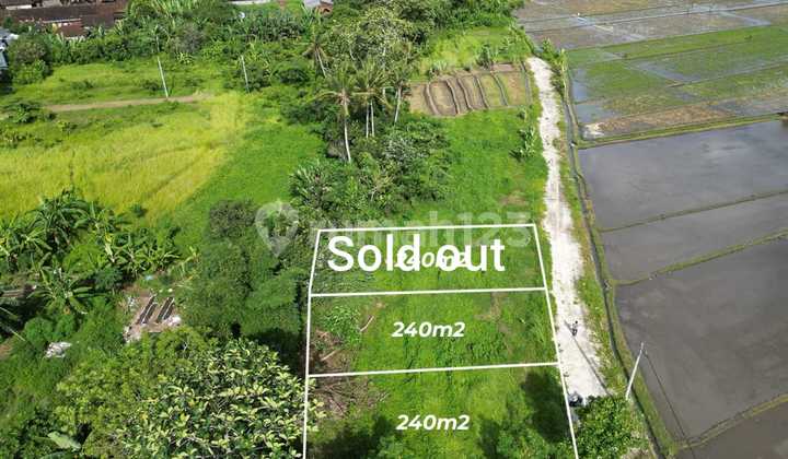 Tanah Kavling Hanya 3 Plot Saja Dekat Pantai Kedungu Cn/tomm