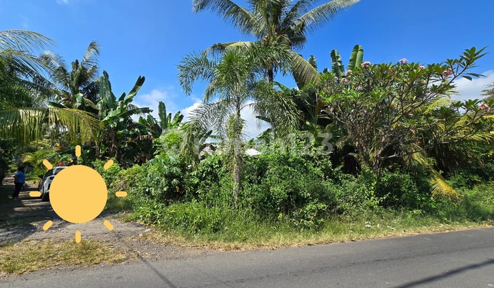 Tanah 319.0 M² Shm Dekat Pantai Lovina Mnk