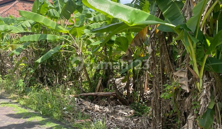 Tanah 400.0 M² Shm Di Tanjung Benoa 7585 Tanah 400.0 M² Shm Di Tanjung Benoa 7585