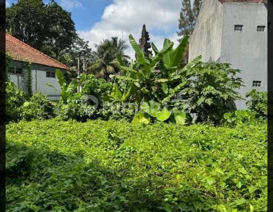 9.64 Are Land with SHM in Central Ubud CN/ket 9.64 Are Land with SHM in Central Ubud CN/ket