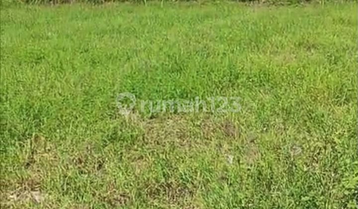 Land 600.0 M² In Tukad Badung Renon Gp Land 600.0 M² In Tukad Badung Renon Gp