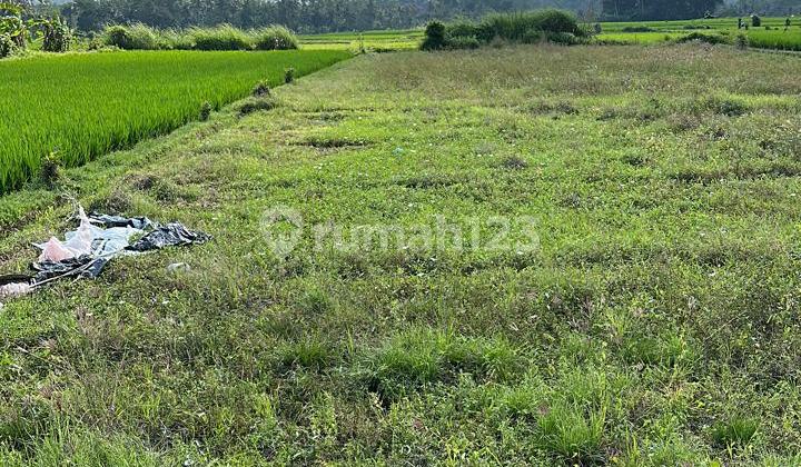 Land 1090.0 M² SHM Near Ciputra Beach Resort Dd